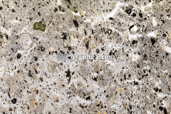 Basalte LPNA x3 - gryphea.org